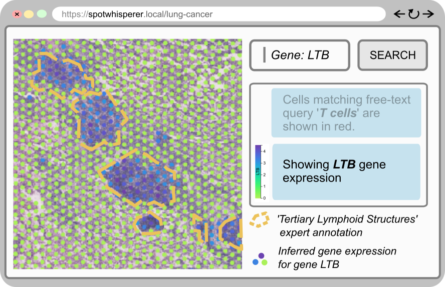 Inferred gene expression